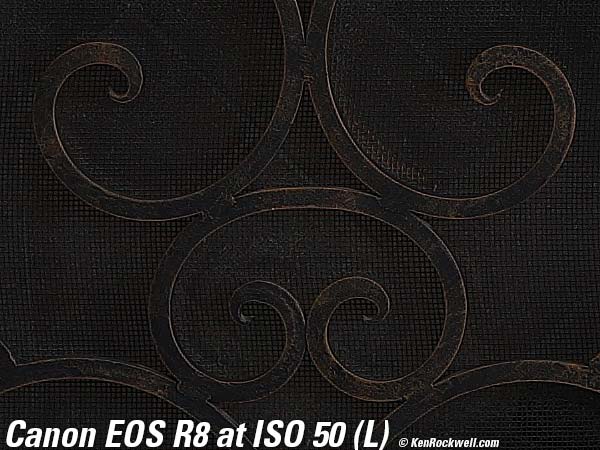 Canon EOS R8 High ISO Sample Image File