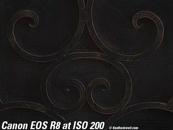 Canon EOS R8 High ISO Sample Image File