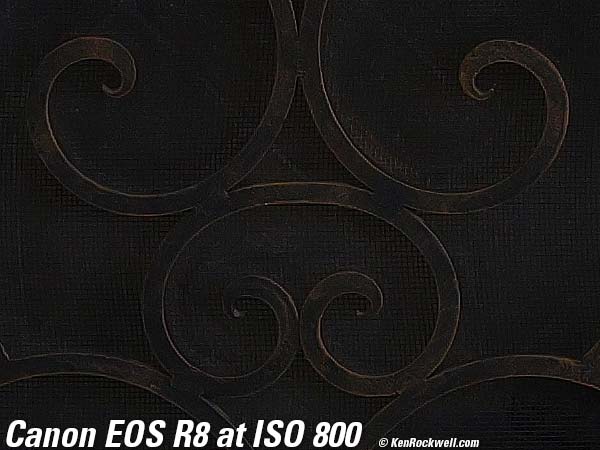 Canon EOS R8 High ISO Sample Image File