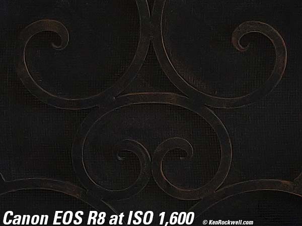 Canon EOS R8 High ISO Sample Image File