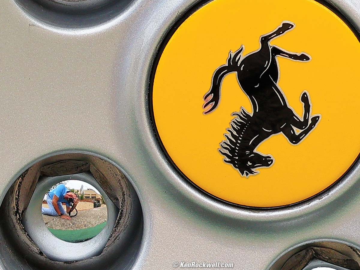 Canon EOS R8 Sample Image File