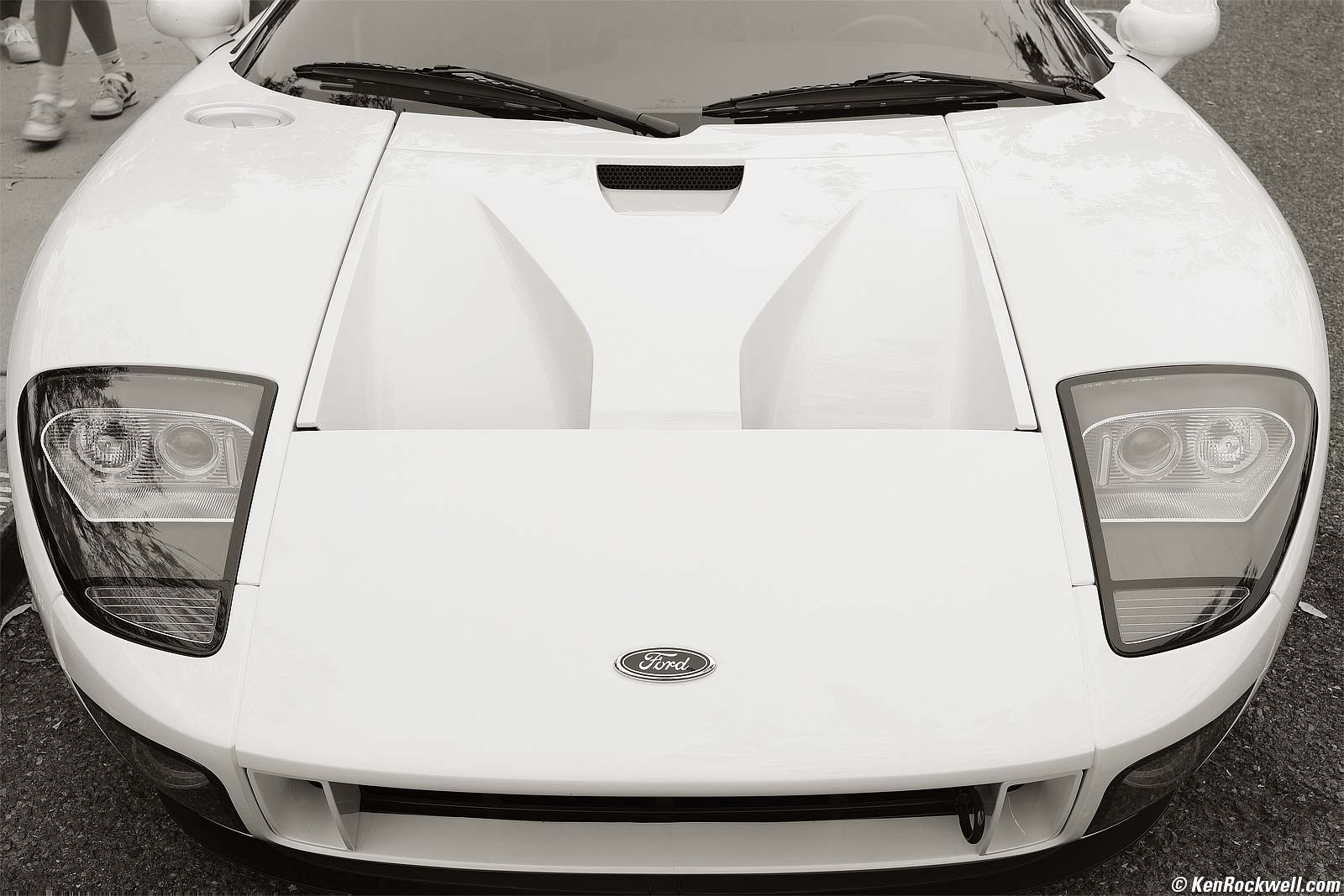 Canon EOS R8 Sample Image File