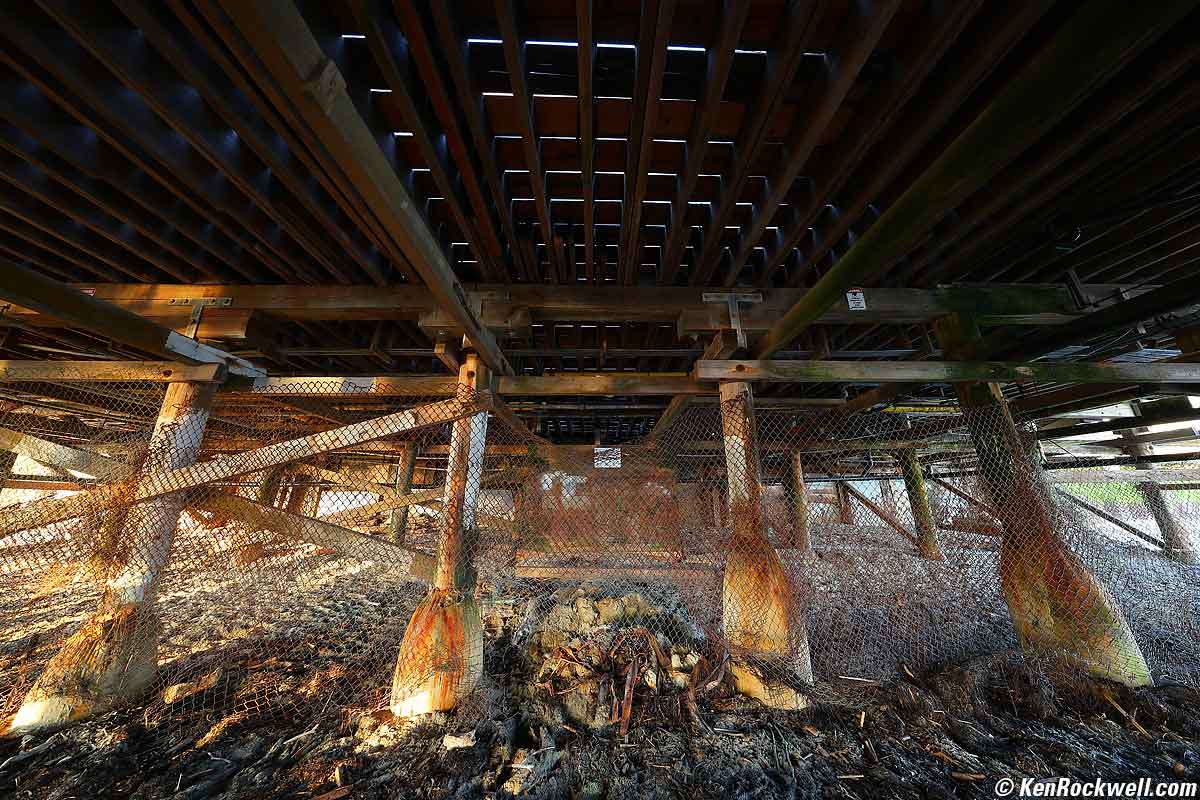 Canon RF 10-20mm and EOS R5 II Sample Photo