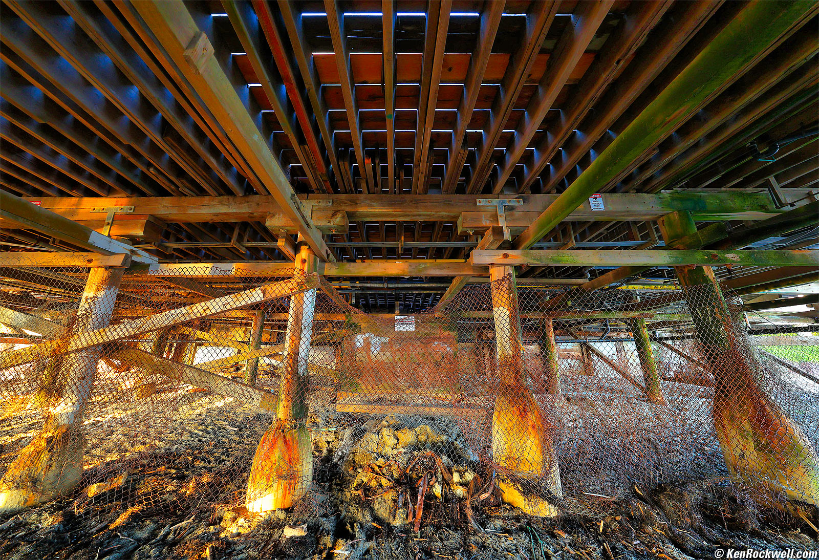 Canon RF 10-20mm and EOS R5 II Sample Photo