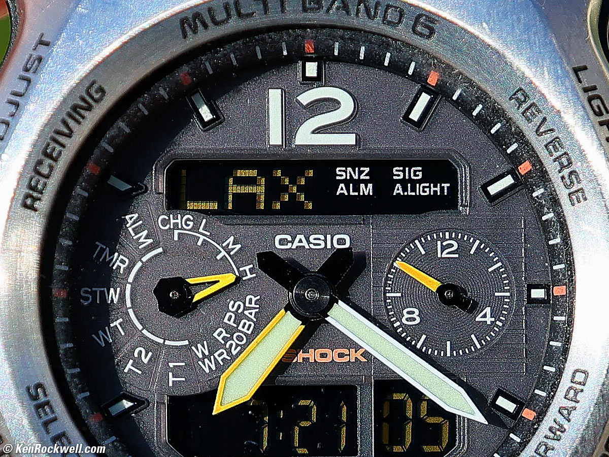 Canon RF 10-20mm and EOS R5 II Macro Sample Photo