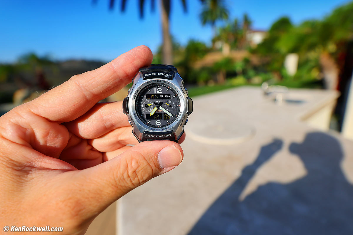 Canon RF 10-20mm and EOS R5 II Macro Sample Photo