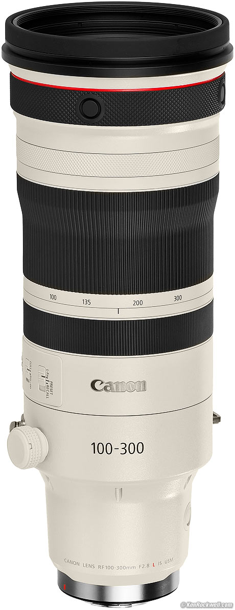 Canon RF 100-300mm f/2.8 L IS USM