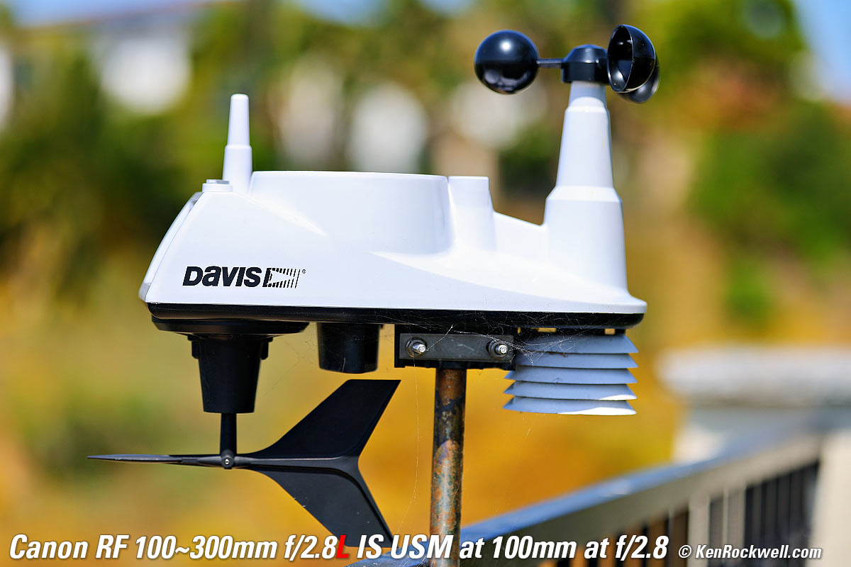 Canon RF 100-300mm f/2.8L IS USM Bokeh Sample Image File