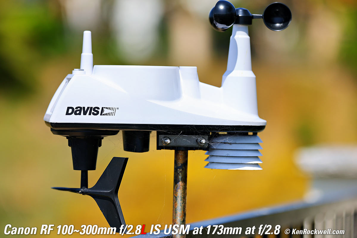 Canon RF 100-300mm f/2.8L IS USM Bokeh Sample Image File