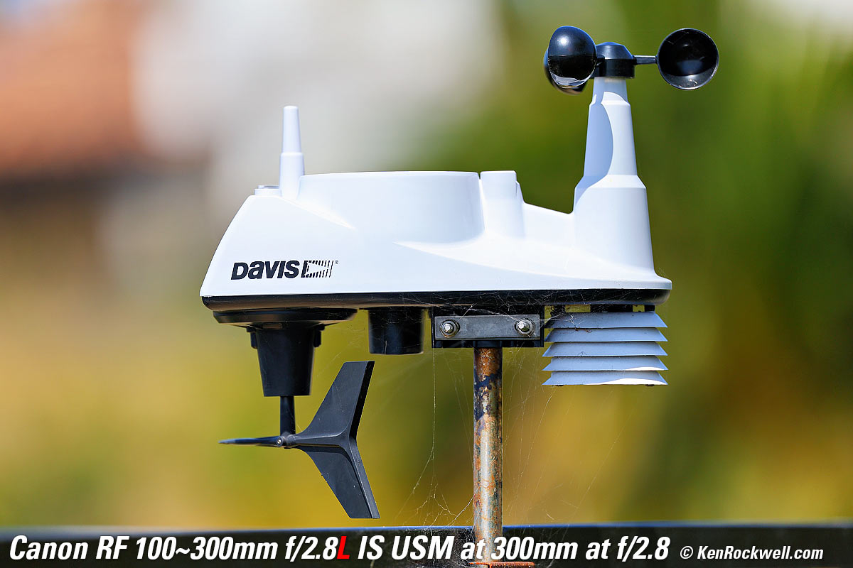 Canon RF 100-300mm f/2.8L IS USM Bokeh Sample Image File