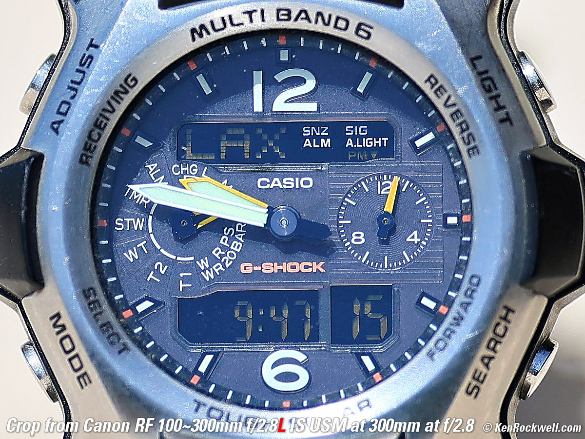 Canon RF 100-300mm f/2.8L IS USM Macro Performance