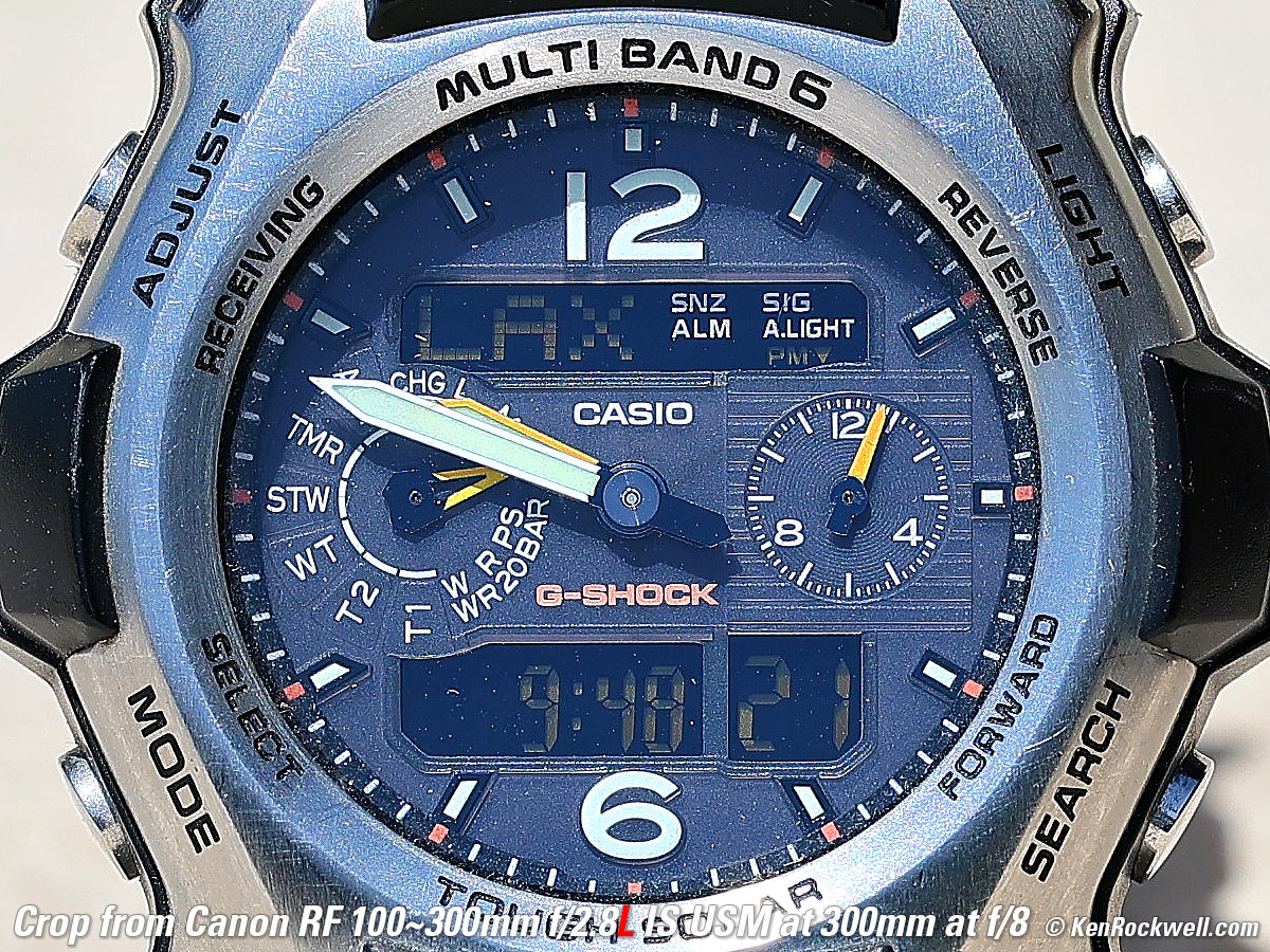 Canon RF 100-300mm f/2.8L IS USM Macro Performance