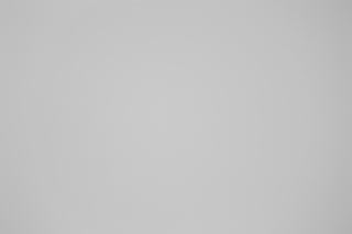 Canon RF 100-300mm f/2.8L Falloff