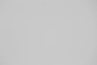 Canon RF 100-300mm f/2.8L Falloff