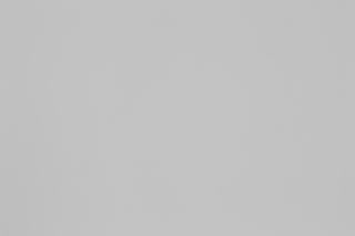 Canon RF 100-300mm f/2.8L Falloff