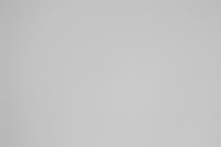 Canon RF 100-300mm f/2.8L Falloff