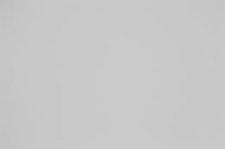 Canon RF 100-300mm f/2.8L Falloff