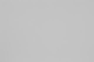 Canon RF 100-300mm f/2.8L Falloff