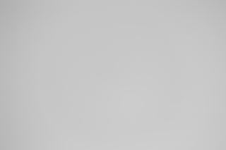 Canon RF 100-300mm f/2.8L Falloff