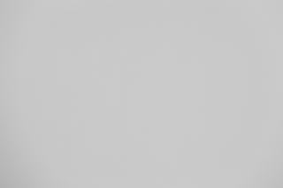 Canon RF 100-300mm f/2.8L Falloff