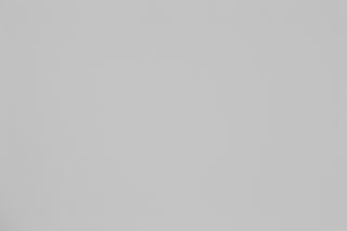 Canon RF 100-300mm f/2.8L Falloff