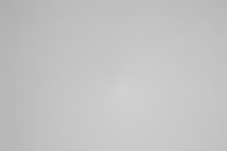 Canon RF 100-300mm f/2.8L Falloff