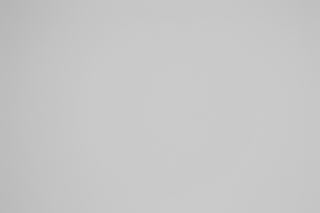 Canon RF 100-300mm f/2.8L Falloff