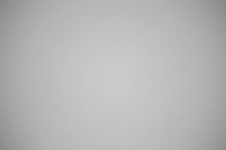 Canon RF 100-300mm f/2.8L Falloff