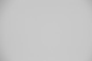 Canon RF 100-300mm f/2.8L Falloff