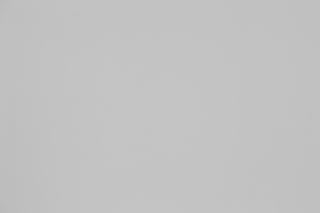 Canon RF 100-300mm f/2.8L Falloff