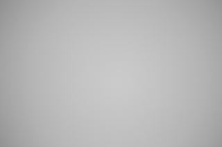 Canon RF 100-300mm f/2.8L Falloff