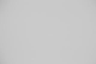 Canon RF 100-300mm f/2.8L Falloff