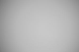 Canon RF 100-300mm f/2.8L Falloff