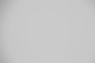 Canon RF 100-300mm f/2.8L Falloff