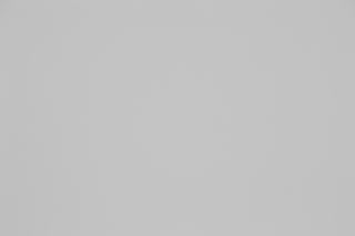 Canon RF 100-300mm f/2.8L Falloff