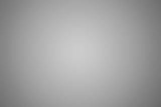 Canon RF 100-300mm f/2.8L Falloff