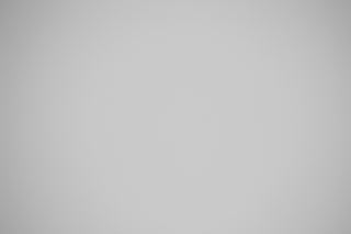 Canon RF 100-300mm f/2.8L Falloff