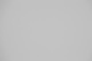 Canon RF 100-300mm f/2.8L Falloff