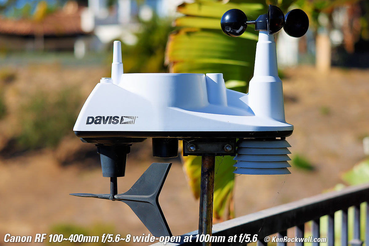 Canon RF 100-400mm Bokeh