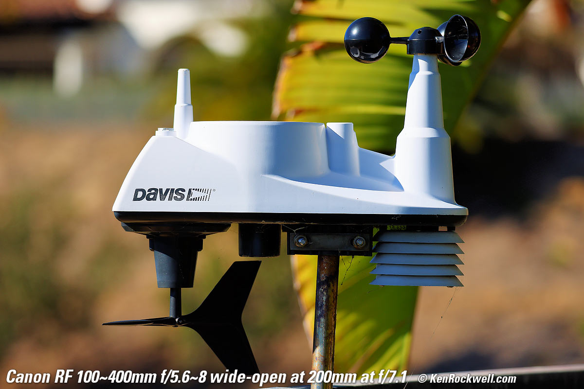 Canon RF 100-400mm Bokeh