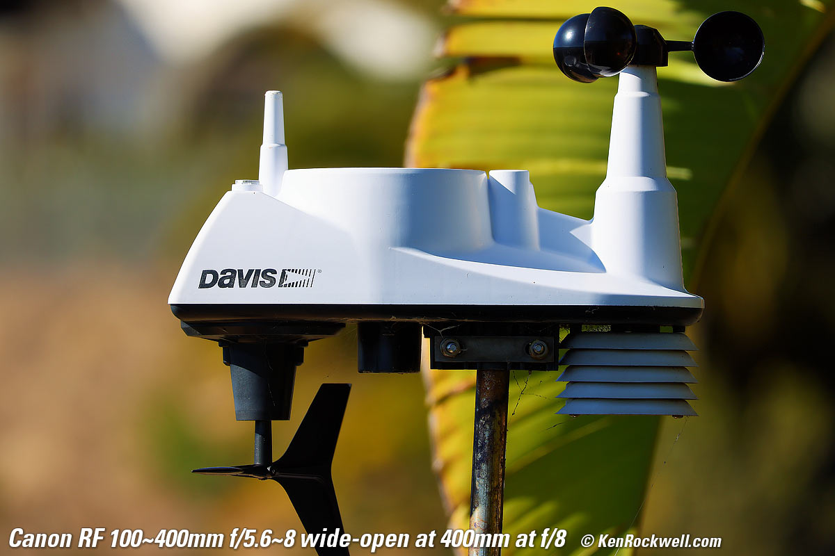 Canon RF 100-400mm Bokeh