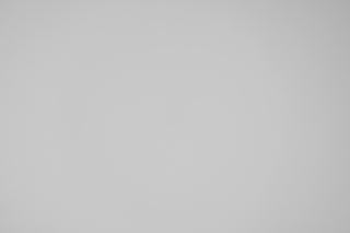 Canon RF 100-400mm falloff