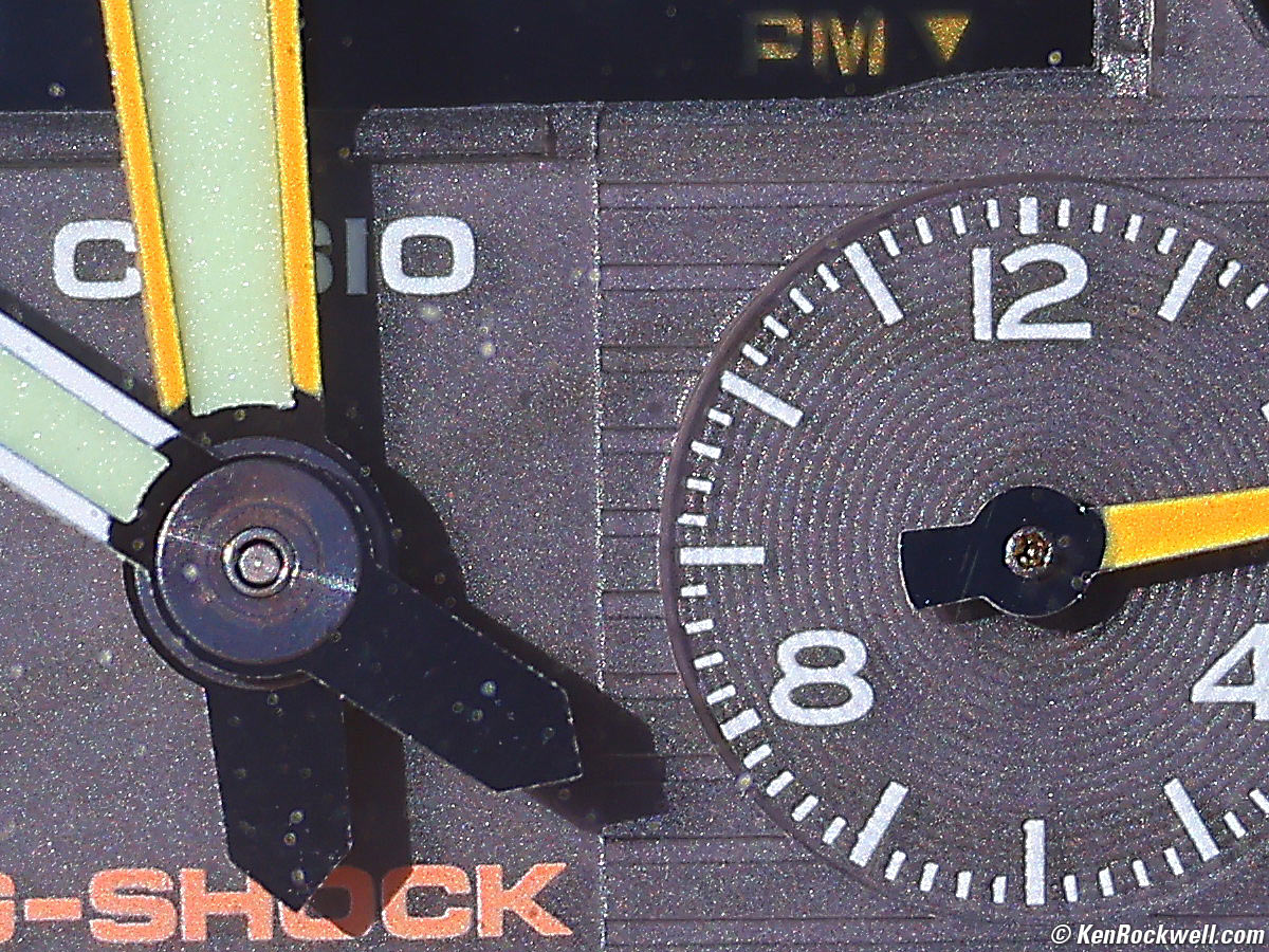 Canon RF 100-400mm Macro Performance Sample Image File