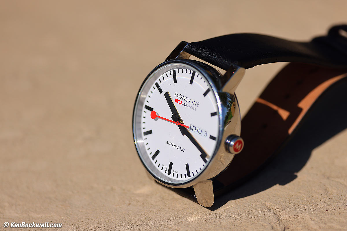 Canon RF 100-500mm Sample Image File