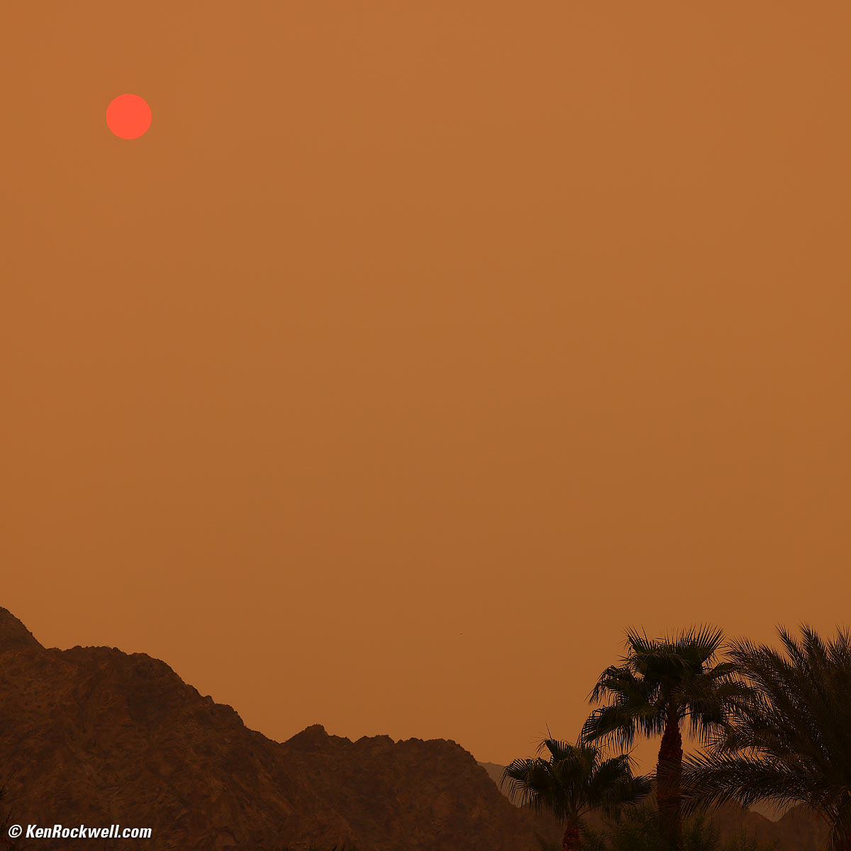 Canon RF 100-500mm Sample Image File