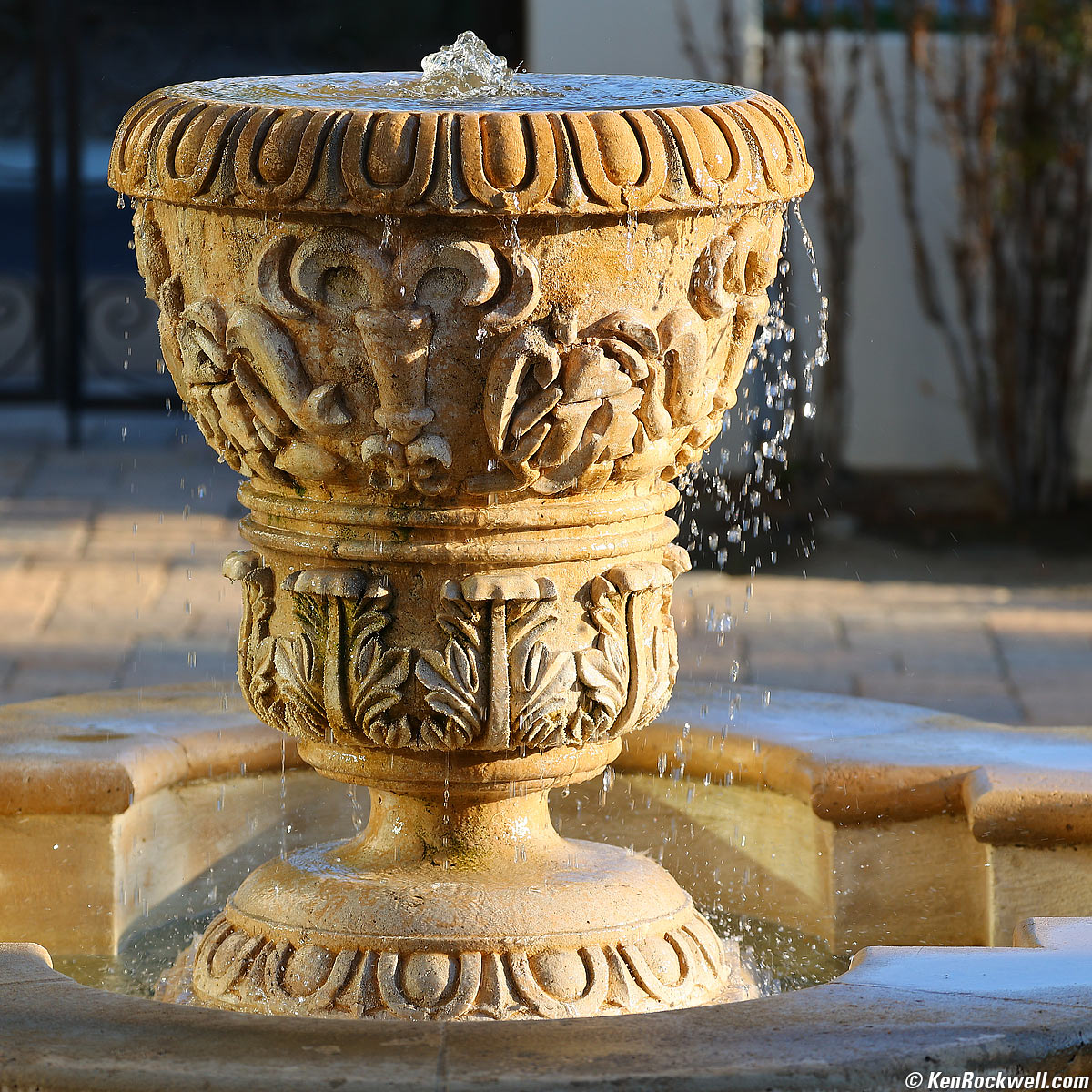 Canon RF 100-500mm Sample Image File