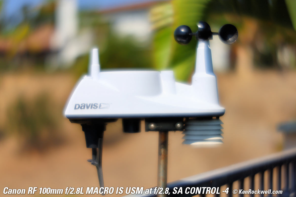 Canon RF 100mm f/2.8 Macro SA Control example Image