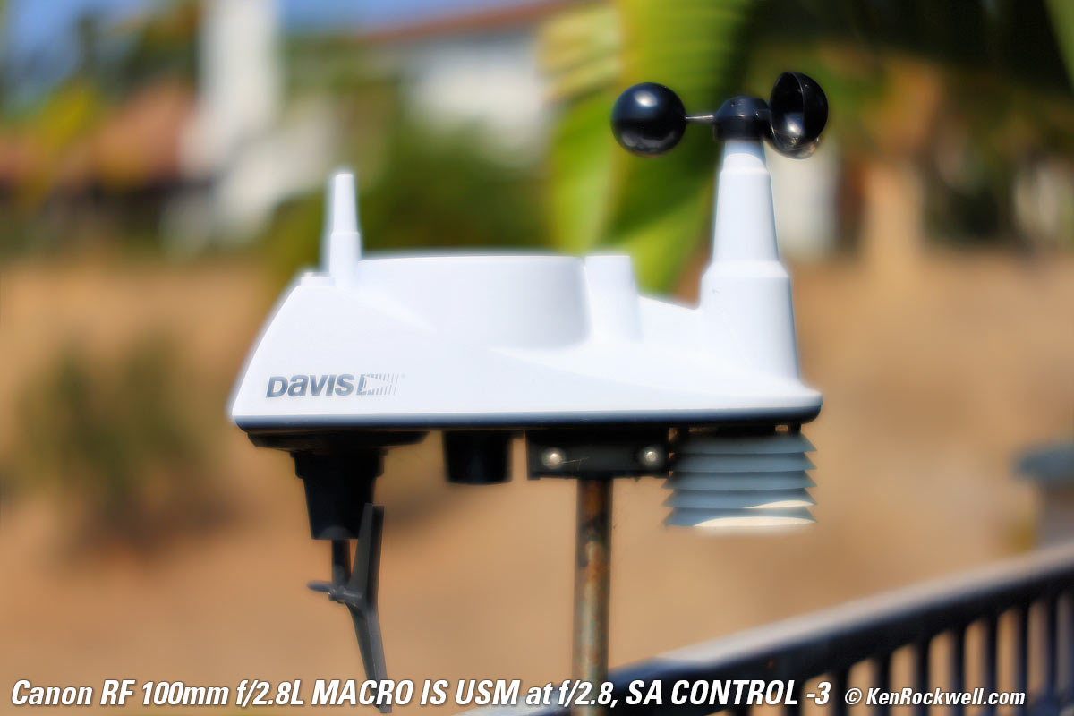 Canon RF 100mm f/2.8 Macro SA Control example Image