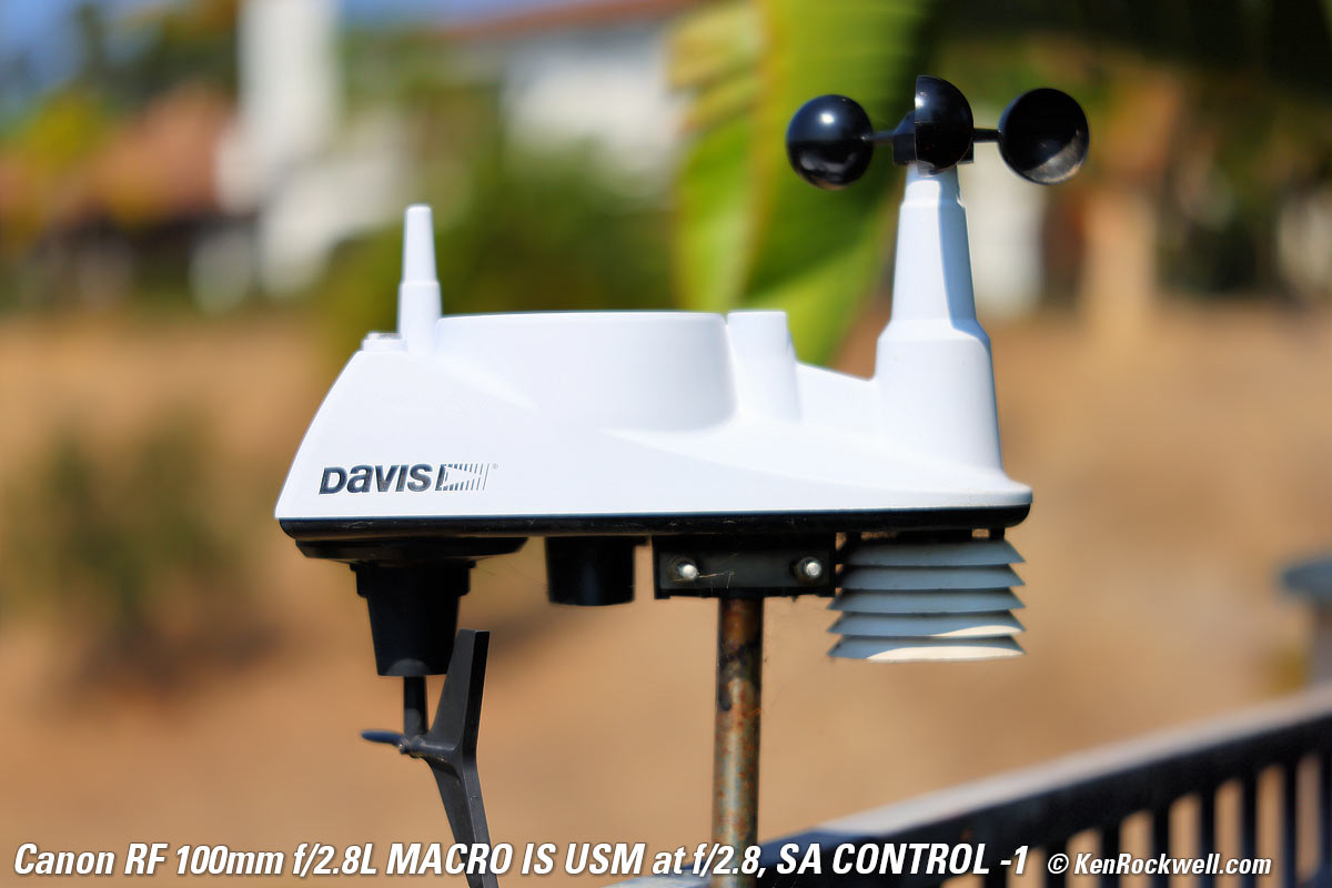 Canon RF 100mm f/2.8 Macro SA Control example Image