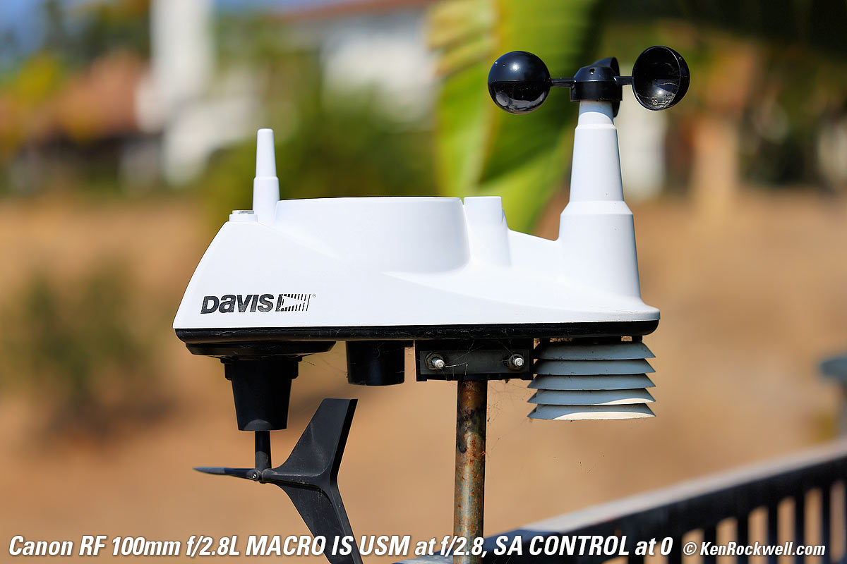 Canon RF 100mm f/2.8 Macro Bokeh example Image